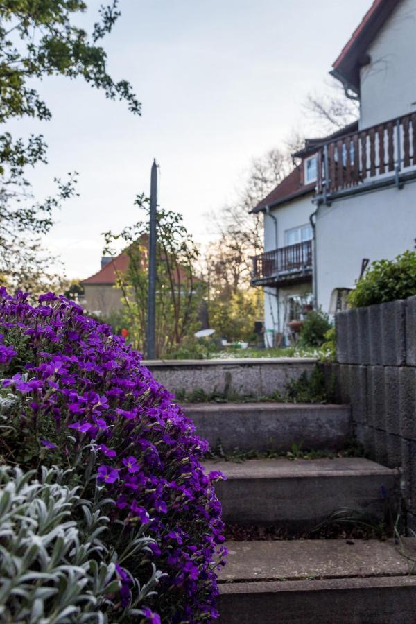 Gästehaus Bechtloff Meißen Exterior foto